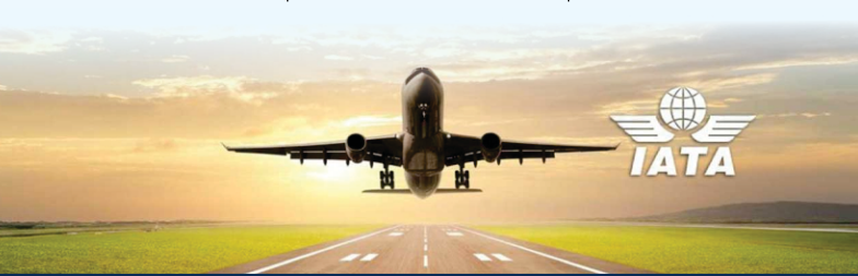 African Airlines Climbs 9.5% Y-O-Y Growth In May 2025 – IATA By Charles Panam