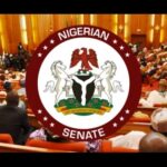 Senate Aviation Committee Chairman Alleges Deep Corruption in Nigeria's Aviation Sector
