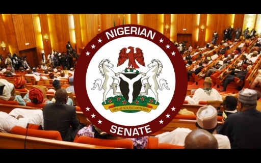 Senate Aviation Committee Chairman Alleges Deep Corruption in Nigeria’s Aviation Sector