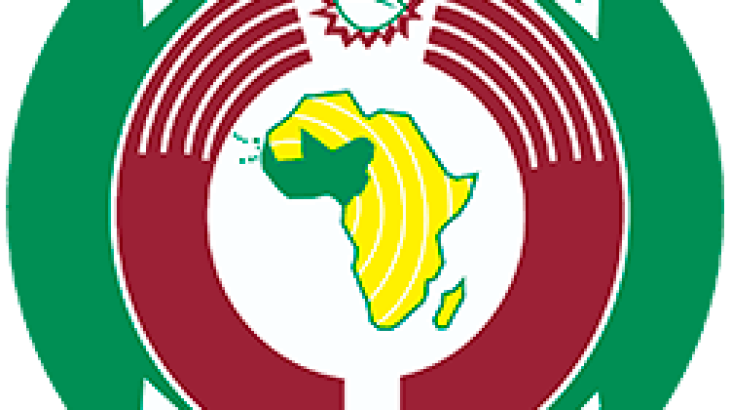 ECOWAS Slashes Aviation Taxes by 25% to Lower Airfares, All 12 Member States Begin Compliance